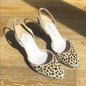 Carmen Salas Cheetah Mules